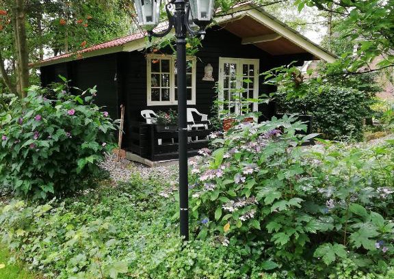 't Haantje House | Family-Friendly Zizania: Guest Rated 8.5/10 for Comfort