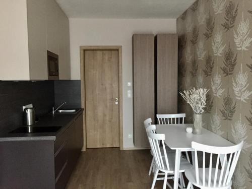 Dolni Morava Apartment | Pet Friendly Zlatý Apartmán with Great Amenities for Families