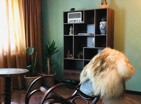 Haren Apartment | Discover Comfort at Appartement Barenfleer – Pet Friendly!