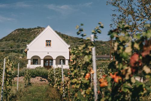 Hegymagas House | Zsálya Présház