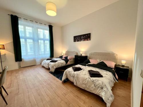 Zentrum-West Apartment | Zu Fuß ins Zentrum, nahe Arena