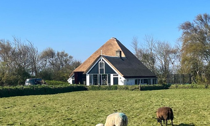 Den Burg Villa | Discover Zuid Haffel: 4-Star Family & Pet-Friendly Retreat