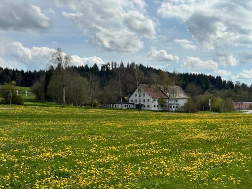 Isny im Allgaeu Hotel | Discover Comfort at Zum Bayrischen Wirt: Pet-Friendly Stay