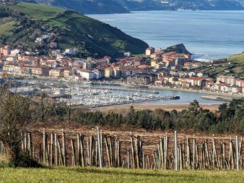 Zumaia Apartment | Discover Zumaia Basque Alai: Family-Friendly Retreat