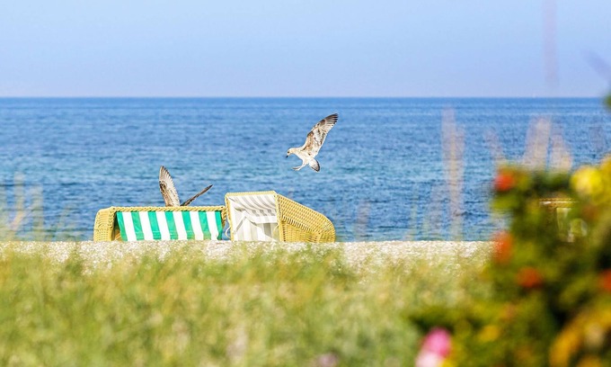 Ostseebad Wustrow Apartment | Zwei Wasser - Seefahrtschule Ostseebad Wustrow - First Garden View