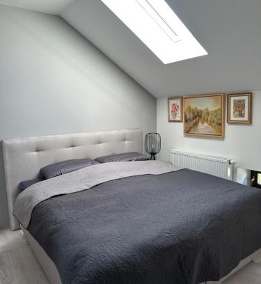 Oelsnitz Apartment | Family-Friendly Zwillinge Ferienwohnung in the Heart of Town