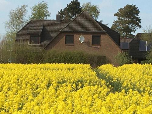 Brebel Apartment | Ideal Retreat: Zwischen den Feldern with Family-Friendly Perks