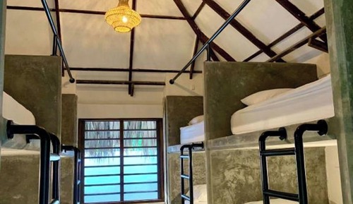 Classic Shared Dormitory