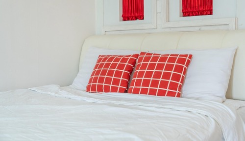Basic Room, 1 Bedroom (Aires (with pet))