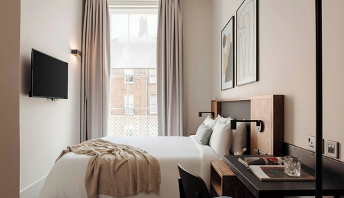 Room, 1 King Bed
