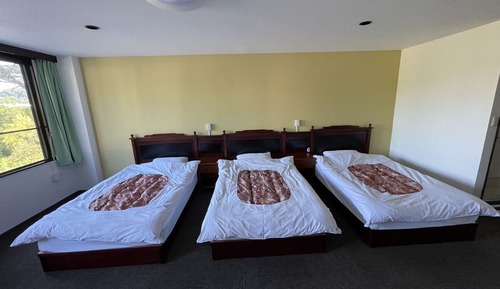 Basic Triple Room
