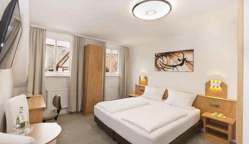 Basic Double Room