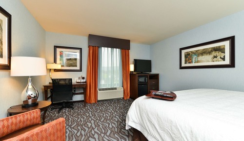 Room, 1 King Bed, Refrigerator & Microwave