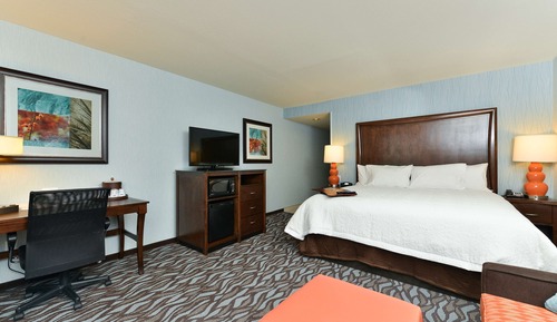 Room, 1 King Bed, Refrigerator & Microwave