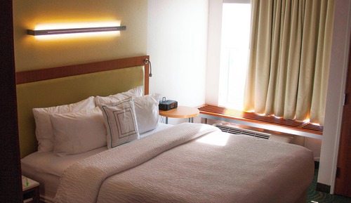 Studio, 1 King Bed with Sofa bed, Non Smoking (Mobility/Hearing Access, Roll-in Shwr)