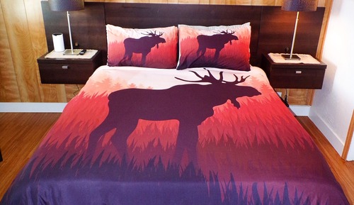 Moose Cottage - 1 queen bed - 1 Room