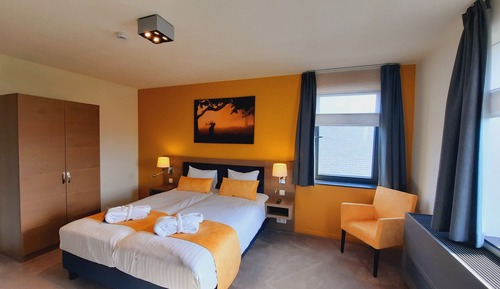 Superior Double or Twin Room
