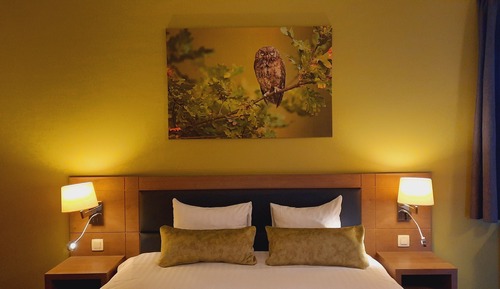 Comfort Double or Twin Room