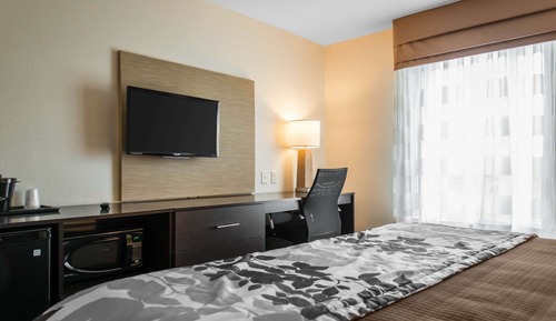 Standard Room, 1 King Bed, Non Smoking