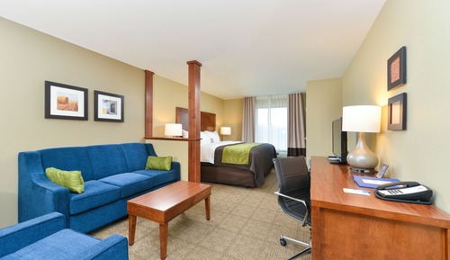 Suite, 1 King Bed with Sofa bed, Non Smoking (No Pets Allowed)