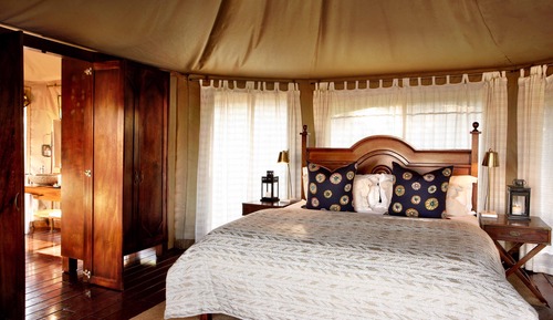 Honeymoon Tent
