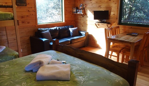 Studio Cabin - Gas fire