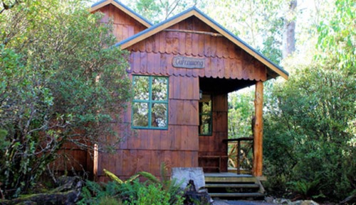 Family Cabin, 2 Bedrooms