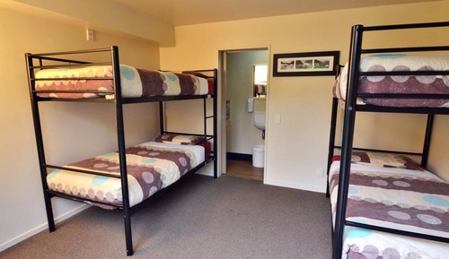 Bed in 4 - Bed Flash - Packer Dorm (Ensuite)