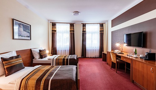 Superior Double or Twin Room