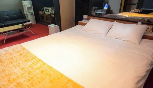Dog Room 8