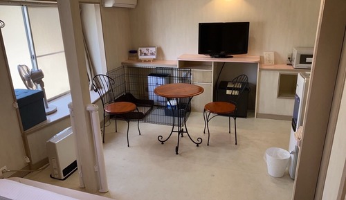 Dog Room 3