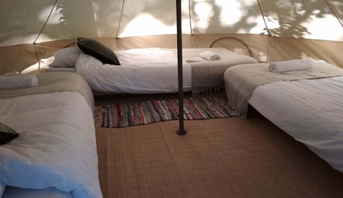 Family Tent