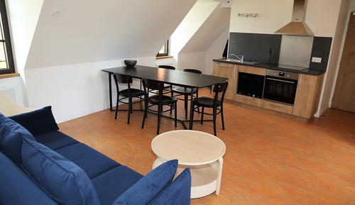 Comfort Apartment, 1 Bedroom