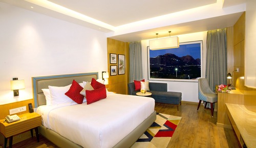 Room, 1 King Bed, Smoking
