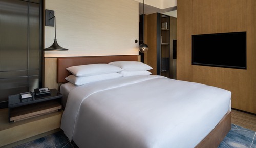 Studio, 1 King Bed, Mountain View