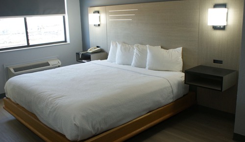 Room, 1 King Bed, Pets Allowed