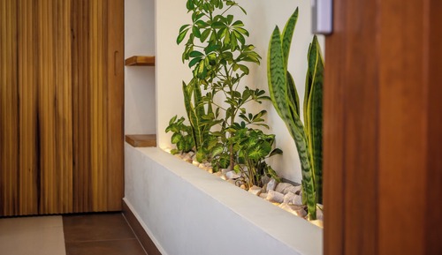 The Meditator Rooms