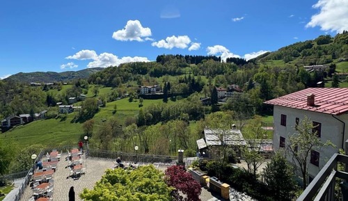 Standard Double or Twin Room, Mountain View