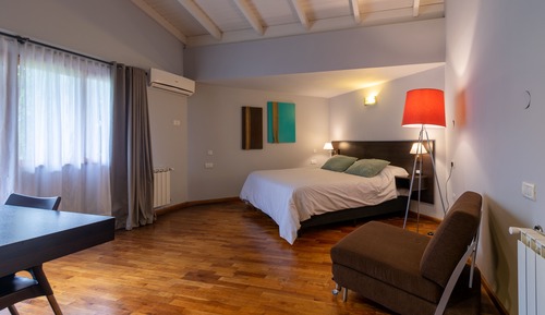 Deluxe Double or Twin Room, 1 King Bed