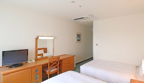 Superior Twin Room, Smoking