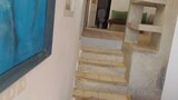 Standard Studio Suite