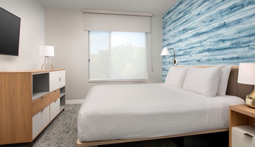 Studio Suite, 1 King Bed with Sofa bed (Hearing Accessible)