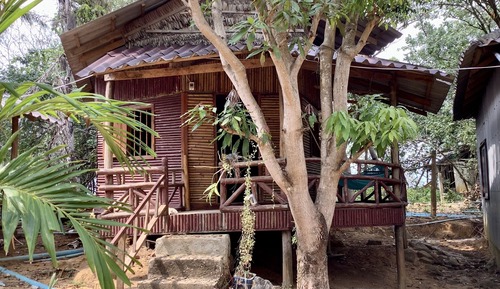 Traditional Tree House