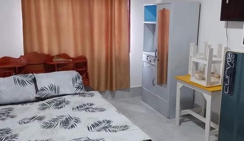 Basic Apartment