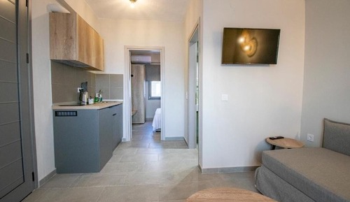 Basic Apartment