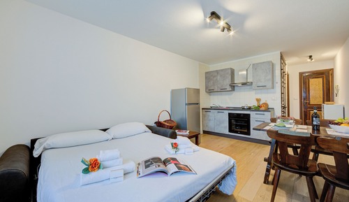 Standard Studio, Mountain View (Studio Genzianella Ski In-Ski Out)