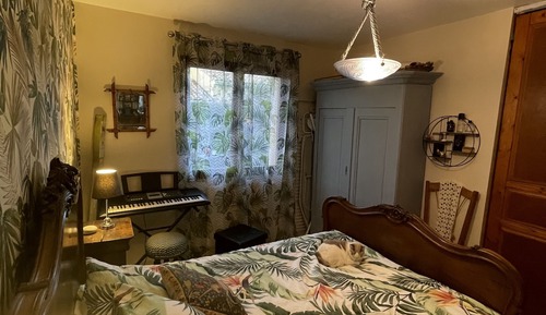 Classic Double Room (Jungle)