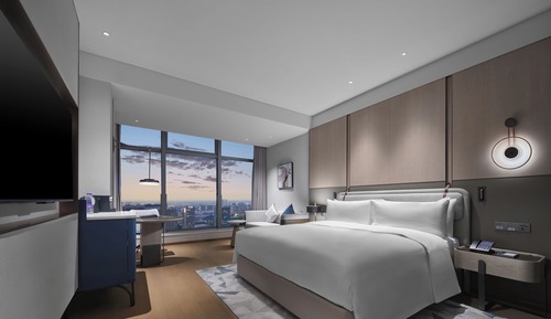 Room, 1 King Bed