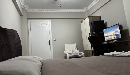 Business Apartment, 1 King Bed, Allergy Friendly, Garden View