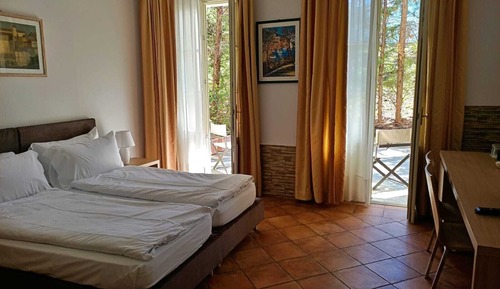 Standard Double or Twin Room